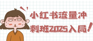 小红书流量冲刺班2025入局-财仔梦想资源网