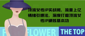 顶流女性IP实战班，流量上亿情绪引爆法，深度打磨顶流女性IP硬核基本功-财仔梦想资源网