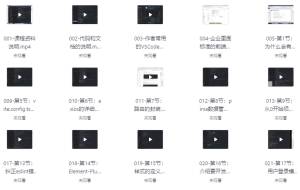 大伟聊前端，三套课程合集-财仔梦想资源网