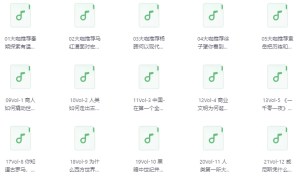 全球商业简史30讲（完结）-财仔梦想资源网