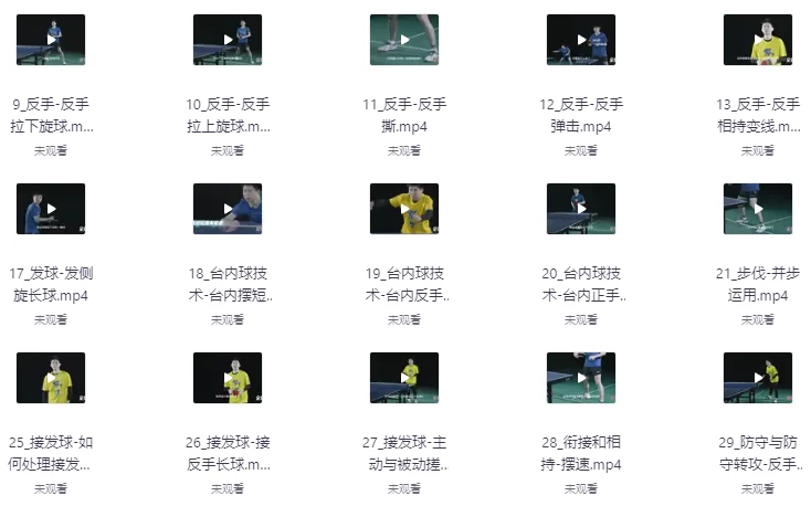 （全世爆）乒乓专业乒乓球教学课-财仔梦想资源网
