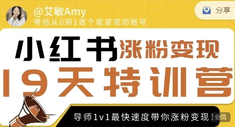 艾敏19天小红书涨粉变现特训营-财仔梦想资源网