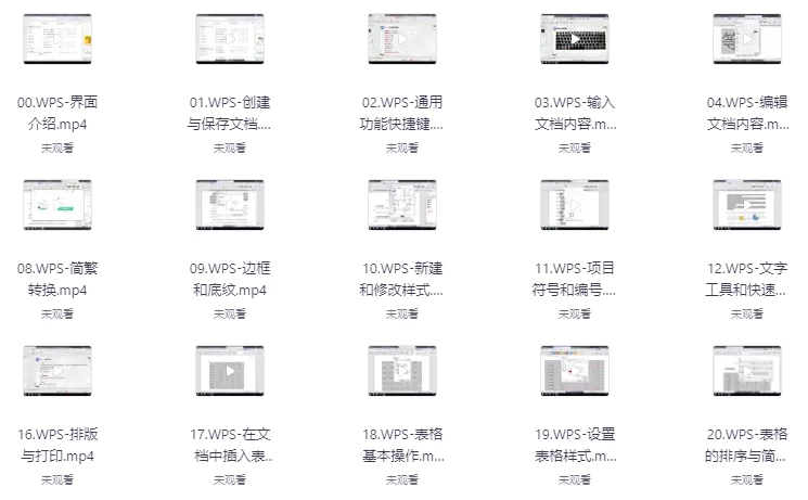 WPS全套教程合集小白秒变高手打工人必备-财仔梦想资源网