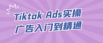 TiktokAds实操广告入门到精通-财仔梦想资源网