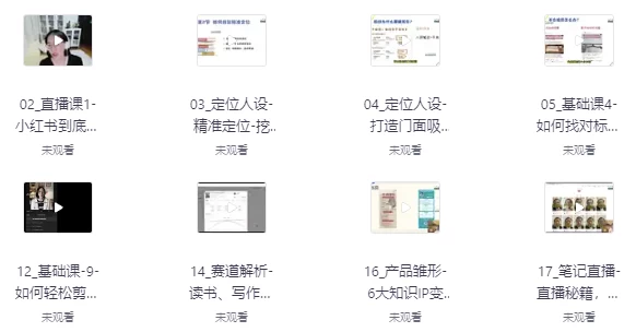 流量变现，带你轻松玩转小红书（23节视频课）-财仔梦想资源网