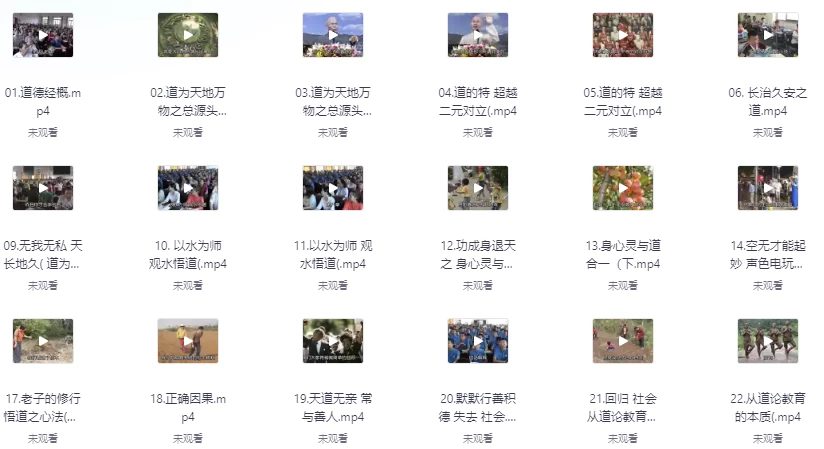 道德经个人珍藏大合集《电子书+音频+多套收费视频》-财仔梦想资源网