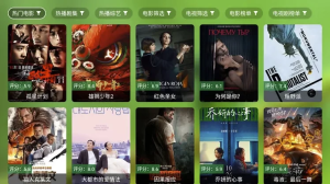 FongMi影视v3.6.3基于TvBox的开源TV盒子&安卓影视播放器-财仔梦想资源网