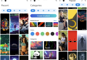 WallsPy壁纸v3.6.1解锁高级版-财仔梦想资源网