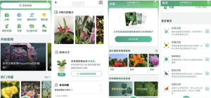 PictureThisPlantIdentifier植物识别软件v5.1.7简洁无广告-财仔梦想资源网