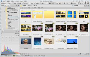 ACDSee旗舰精简版|ACDSeeUltimate、ACDSeePro（16.0.3.2610）-财仔梦想资源网