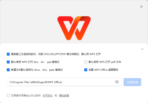 WPSOffice2023专业增强版v12.8.2.19823永久激活版-财仔梦想资源网
