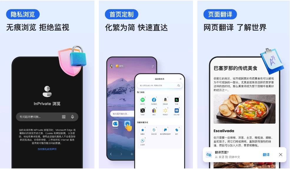 微软Edge浏览器v133.0.3065.67谷歌版-财仔梦想资源网