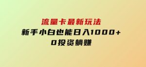 流量卡最新玩法，新手小白也能日入1000+，0投资躺赚-财仔梦想资源网
