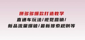 拼多多爆款打造教学：直通车玩法/视觉营销/新品流量爆破/最新搜索规则等-财仔梦想资源网