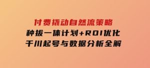 付费撬动自然流策略：种拔一体计划+ROI优化，千川起号与数据分析全解-财仔梦想资源网