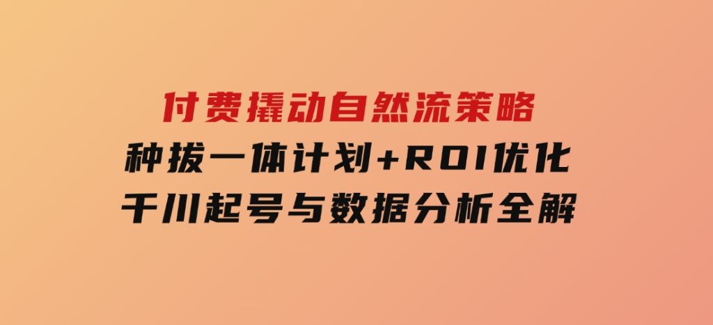 付费撬动自然流策略：种拔一体计划+ROI优化，千川起号与数据分析全解-财仔梦想资源网