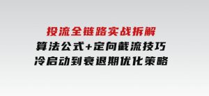 投流全链路实战拆解：算法公式+定向截流技巧，冷启动到衰退期优化策略-财仔梦想资源网