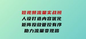 短视频流量实战班，人设打造内容优化，矩阵投放管控有序，助力流量变现路-财仔梦想资源网