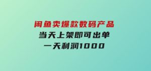 闲鱼卖爆款数码产品，当天上架即可出单，一天利润1000-财仔梦想资源网