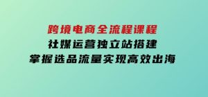 跨境电商全流程课程，社媒运营独立站搭建，掌握选品流量，实现高效出海-财仔梦想资源网