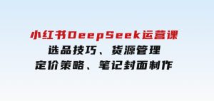 小红书DeepSeek运营课，选品技巧、货源管理、定价策略、笔记封面制作-财仔梦想资源网