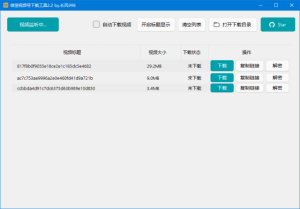 微信视频号下载工具(支持直播回放、直播流)v2.2中文绿色版-财仔梦想资源网