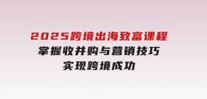 2025跨境出海致富课程，掌握收并购与营销技巧，实现跨境成功-财仔梦想资源网