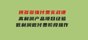 拼多多强付费实战课-44期，高利润产品项目经验，低利润微付费阶段操作-财仔梦想资源网
