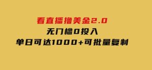 看直播撸美金2.0，无门槛0投入，单日可达1000+，可批量复制-财仔梦想资源网