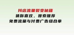 抖店流量裂变秘籍，猜你喜欢，搜索推荐，免费流量与付费广告组合拳-财仔梦想资源网