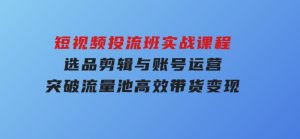 短视频投流班实战课程，选品剪辑与账号运营，突破流量池，高效带货变现-财仔梦想资源网