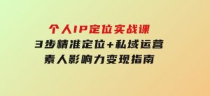 个人IP定位实战课-5期,3步精准定位+私域运营,素人影响力变现指南-财仔梦想资源网