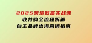 2025跨境致富实战课，收并购全流程拆解，自主品牌出海营销指南-财仔梦想资源网