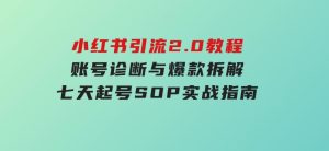 小红书引流2.0教程，账号诊断与爆款拆解，七天起号SOP实战指南-财仔梦想资源网