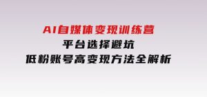 AI自媒体变现训练营，平台选择避坑，低粉账号高变现方法全解析-财仔梦想资源网