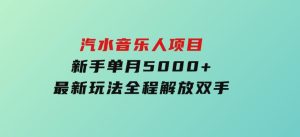 汽水音乐人项目，新手单月5000+，最新玩法全程解放双手-财仔梦想资源网