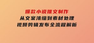 爆款小说推文制作,从文案浓缩到素材处理,视频剪辑发布全流程解析-财仔梦想资源网