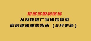 拼多多盈利密码：从烧钱推广到印钞模型，底层逻辑重构指南（6月更新）-财仔梦想资源网
