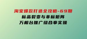 淘宝爆款打造全攻略-69期，标品裂变与非标矩阵，万相台推广组合拳实操-财仔梦想资源网