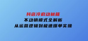 抖店冷启动秘籍：不动销模式全解析，从运营逻辑到极速爆单实操-财仔梦想资源网
