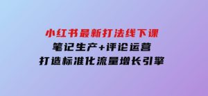 小红书最新打法线下课：笔记生产+评论运营，打造标准化流量增长引擎-财仔梦想资源网
