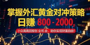 （15198期）掌握外汇黄金对冲策略，日赚800–2000，小众高回报创业机会，助你实…-财仔梦想资源网