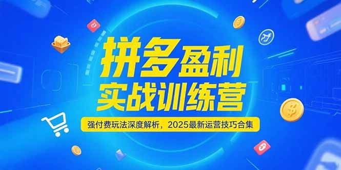 （15183期）拼多多盈利实战训练营，强付费玩法深度解析，2025最新运营技巧合集-财仔梦想资源网