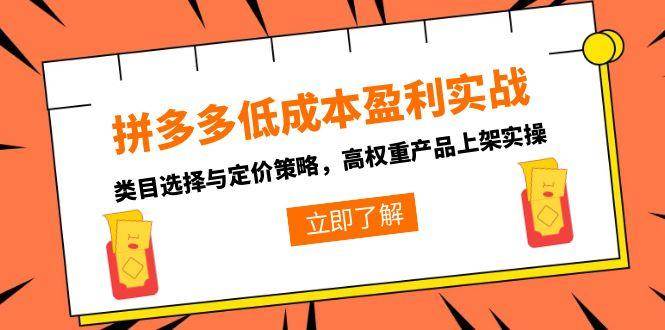 （15143期）拼多多低成本盈利实战，类目选择与定价策略，高权重产品上架实操-财仔梦想资源网
