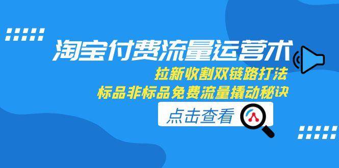 （15135期）淘宝付费流量运营术，拉新收割双链路打法，标品非标品免费流量撬动秘诀-财仔梦想资源网