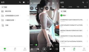 XPlayerv2.4.7.0万能视频播放器专业版-财仔梦想资源网