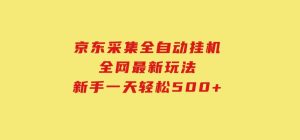 京东采集全自动挂机，全网最新玩法，新手一天轻松500+-财仔梦想资源网