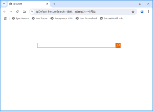 SRWareIron(基于谷歌开发的浏览器)v137.0.6950.0官方便携版-财仔梦想资源网