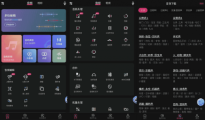 音编美声v8.7.0.4高级版-财仔梦想资源网