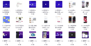 《剪映课+短视频综合课程》，抖音底层算法，百万粉丝不是梦-财仔梦想资源网